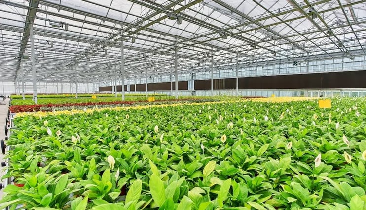 Color Pipe for Greenhouse Agriculture 01