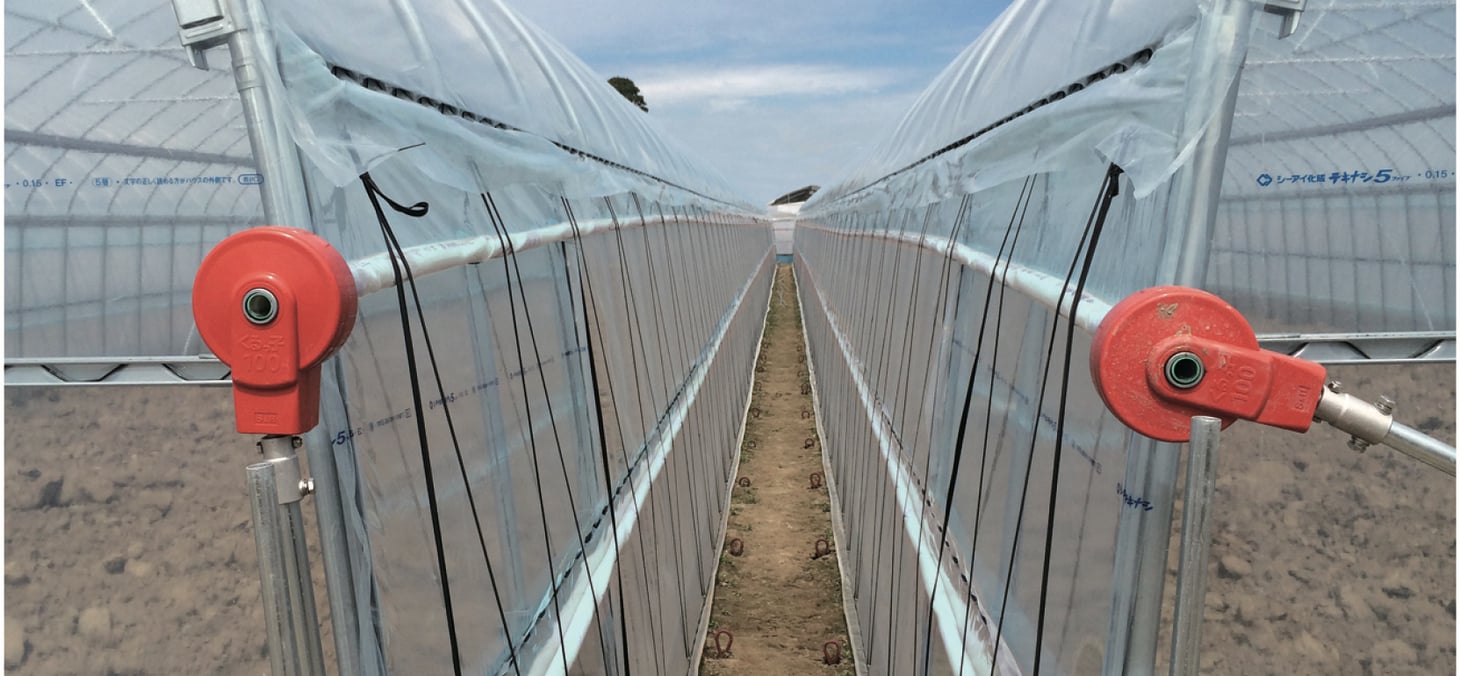 Color Pipe - Greenhouse-3