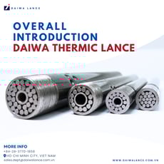 Basic Knowledge about Daiwa Thermic Lance