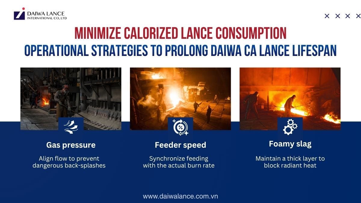 maximize-lifespan-and-reduce-calorized-lance-consumption
