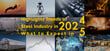 Highlights Trends of Steel Industry in 2024 and What to Expect in 2025
