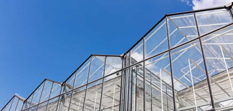 modern-greenhouse-structure