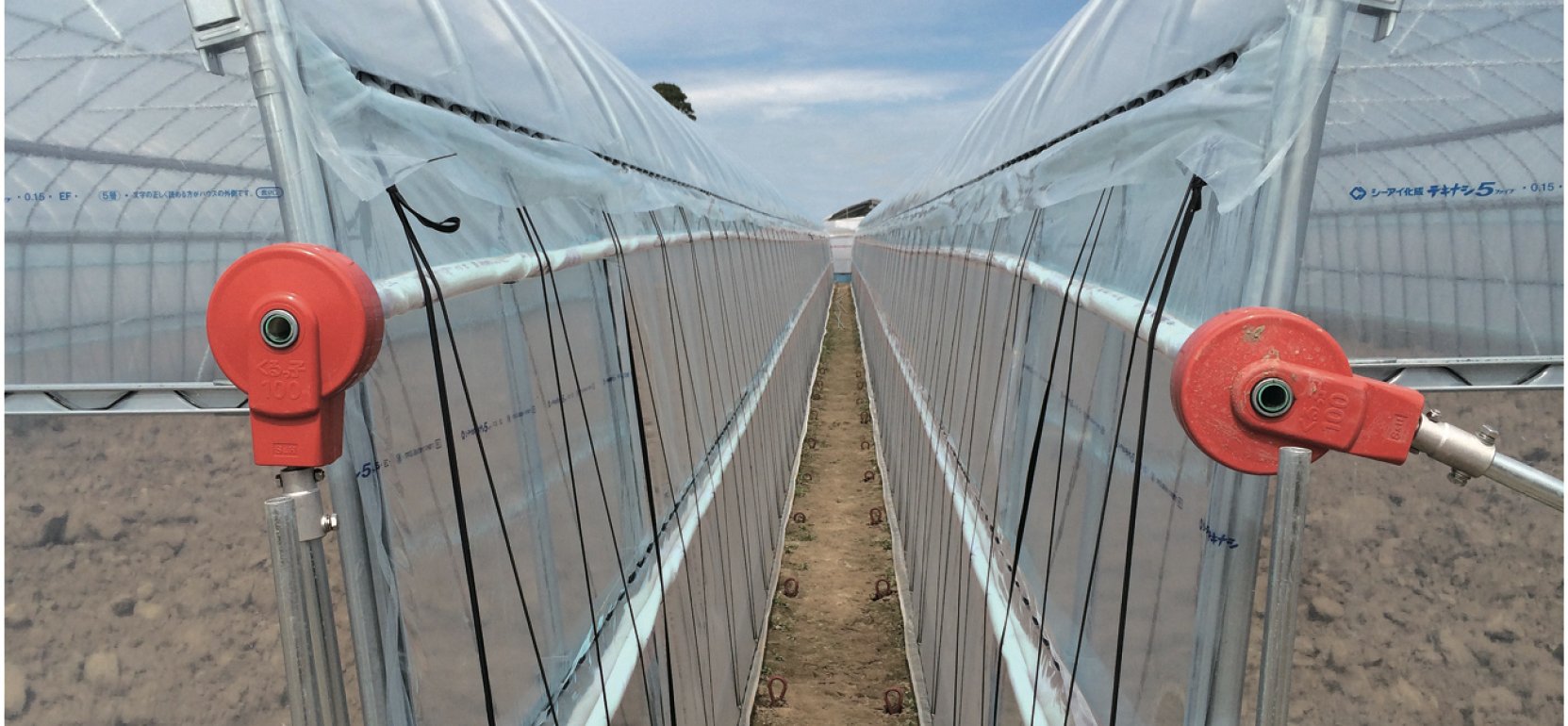 A Brief Guide to Greenhouse Structural Components